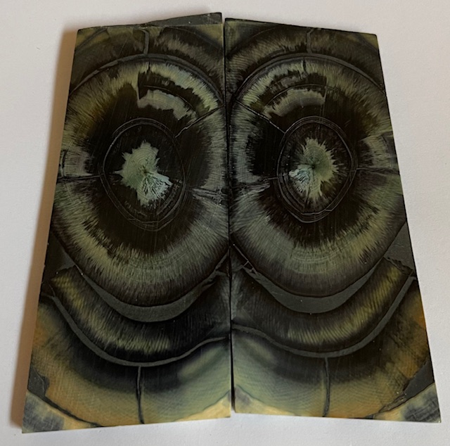 END GRAIN CUT MAMMOTH IVORY          2-15/16 X 1-3/16 X 1/8