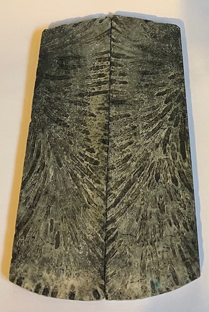 FOSSIL CORAL SCALES             4-7/16 tapers X 1-5/16 X 3/16