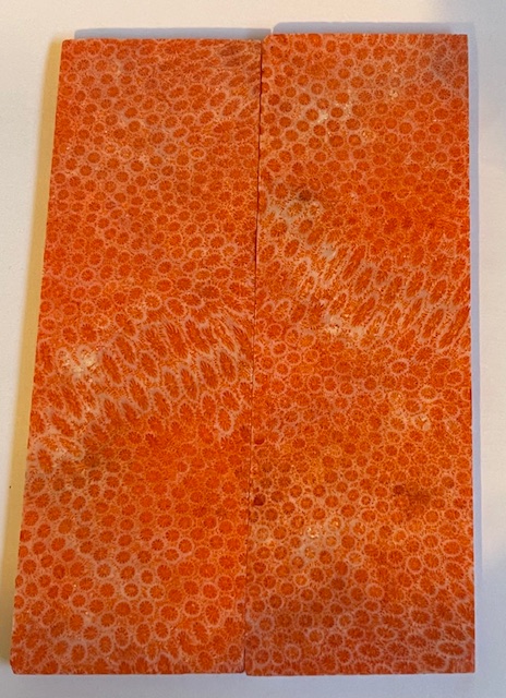 FOSSIL CORAL SCALES            5-7/16 X 1-13/16 X 3/16