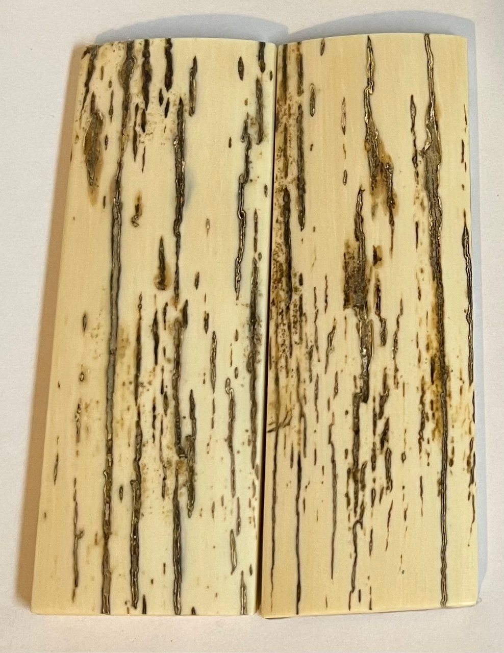  MAMMOTH IVORY SCALES             4-3/16 X 1-1/2 X 3/16