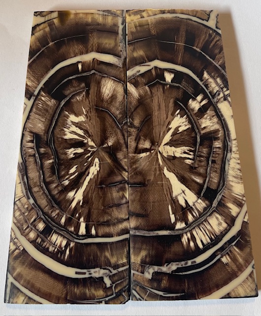 END GRAIN CUT MAMMOTH IVORY           5-1/2 X 1-7/8 to 2-1/16 X 1/4