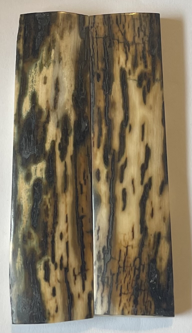  MAMMOTH IVORY SCALES            4-1/16 X 1 X 1/4