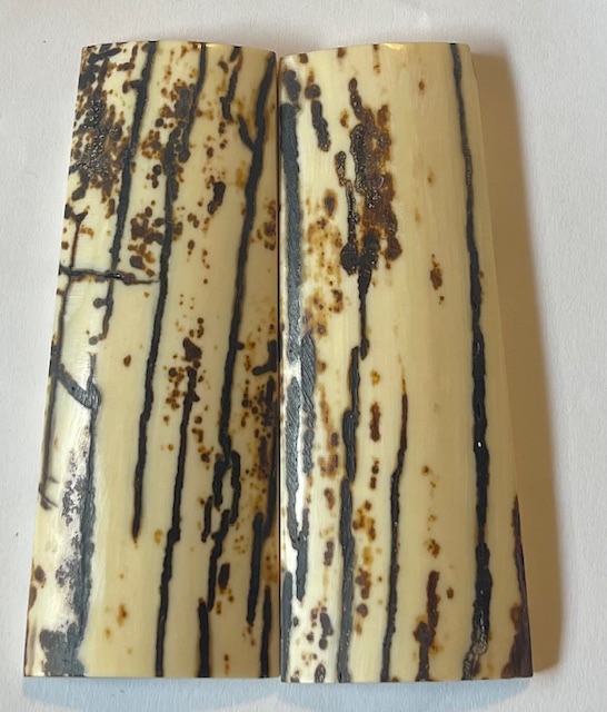  MAMMOTH IVORY SCALES           4 X 1-1/4 to 1-3/8 X 1/4