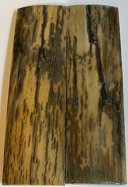  MAMMOTH IVORY SCALES            5-3/4 X 1-5/8 X 5/16