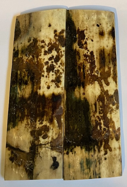  MAMMOTH IVORY SCALES             4-7/16 X 1-7/16 X 7/32