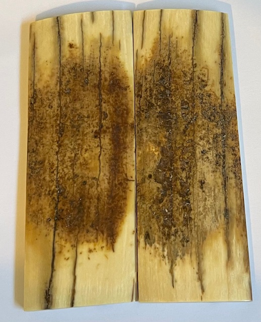  MAMMOTH IVORY SCALES             4-9/16 X 1-9/16 X 1/4