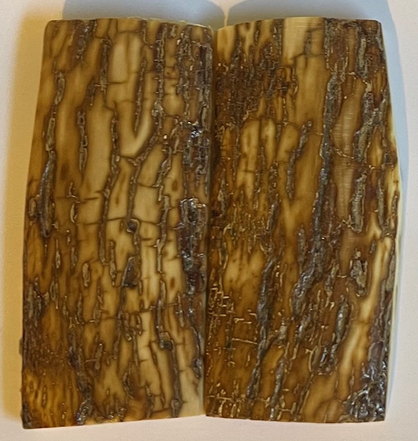  MAMMOTH IVORY SCALES             3 X 1-3/8 X 5/16