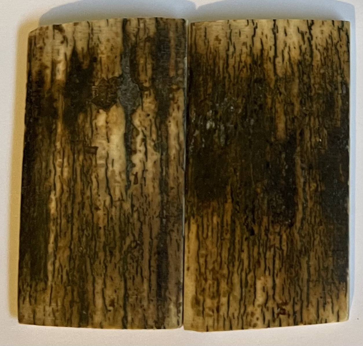  MAMMOTH IVORY SCALES             2-3/8 X 1-5/16 X 7/32