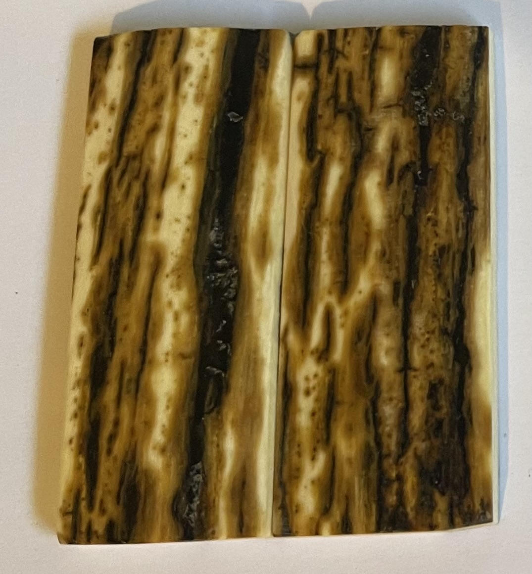  MAMMOTH IVORY SCALES             2-1/2 X 1 X 3/16