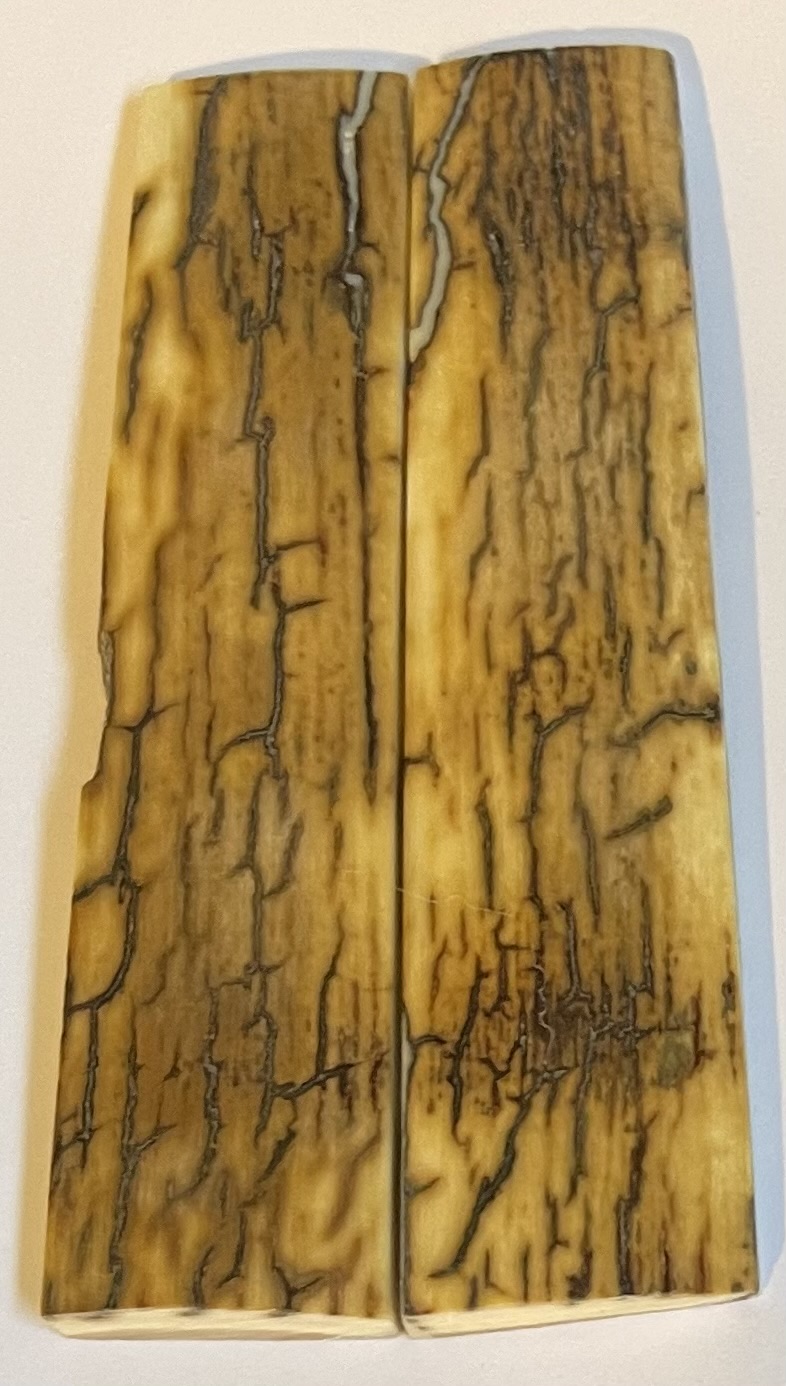  MAMMOTH IVORY SCALES       3-7/8 X 3/4 X 1/8