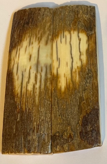 MAMMOTH IVORY SCALES             3-1/8 X 15/16 X 3/16
