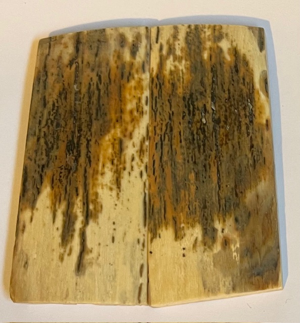  MAMMOTH IVORY SCALES             3-1/4 X 1-7/16 X 7/32