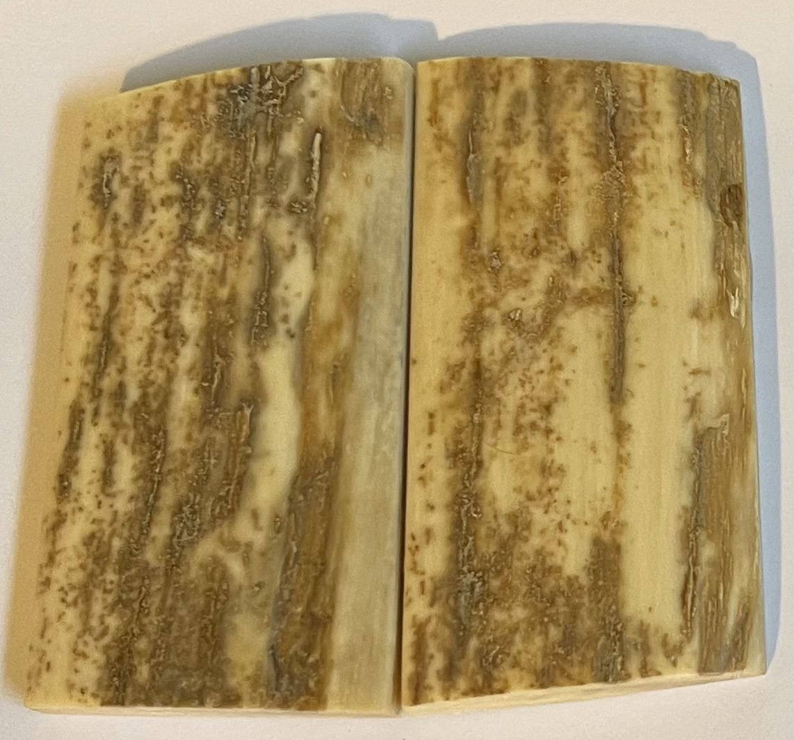  MAMMOTH IVORY SCALES             2-3/8 X 1-1/4 X 1/4
