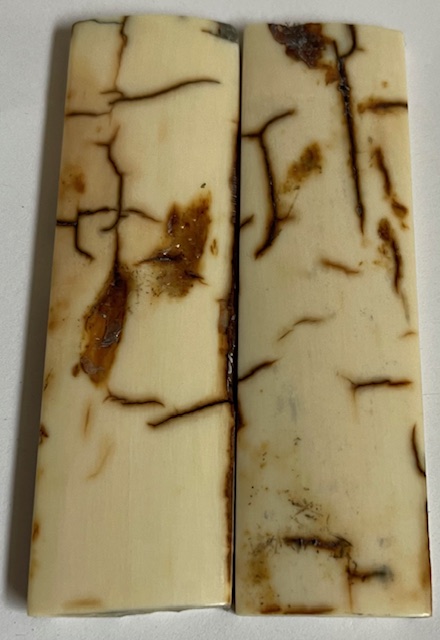  MAMMOTH IVORY SCALES            3-3/16 X 7/8 X 1/8