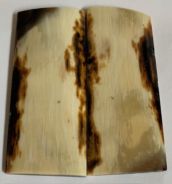  MAMMOTH IVORY SCALES           3-1/16 X 1-5/16 X 3/16