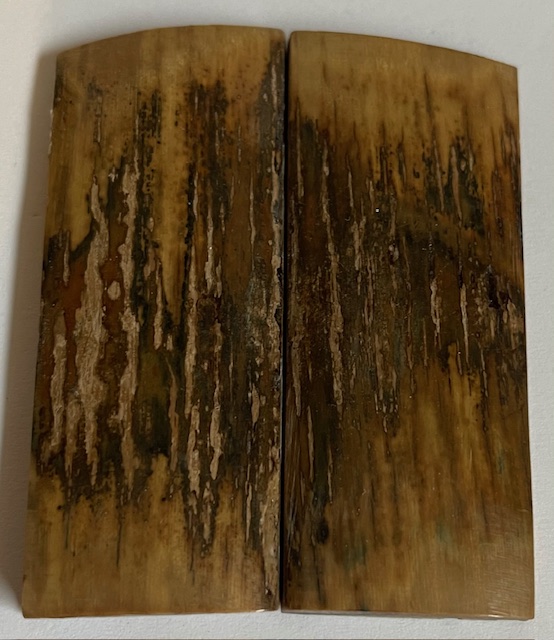  MAMMOTH IVORY SCALES             2-3/4 X 1-1/8 X 3/16 