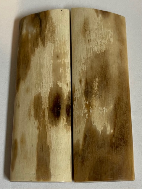  MAMMOTH IVORY SCALES             2-15/16 X 1 X 3/16
