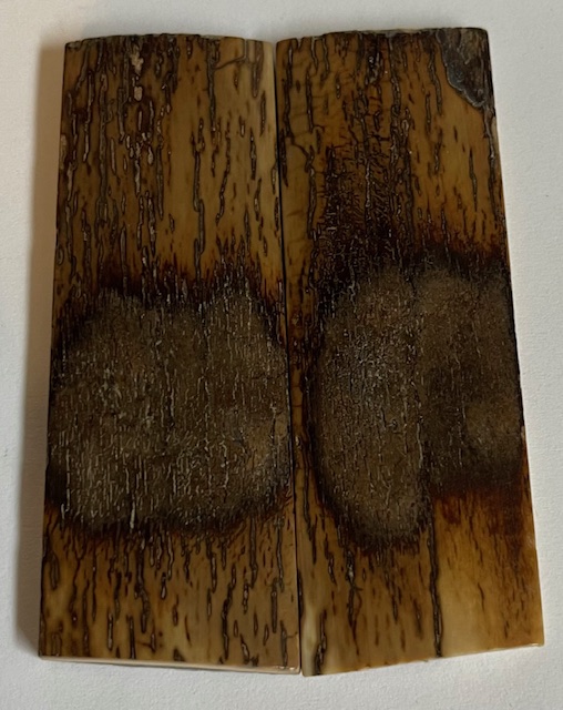  MAMMOTH IVORY SCALES             2-7/8 X 1 X 5/32