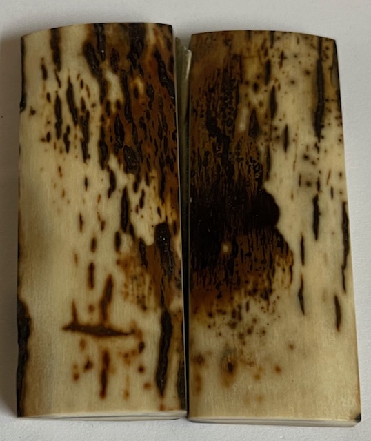  MAMMOTH IVORY SCALES             2-9/16 X 1 X 7/32