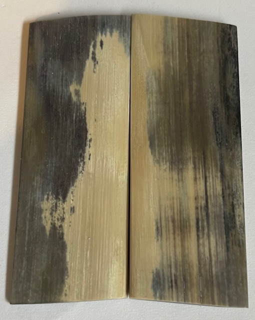  MAMMOTH IVORY SCALES             2-5/8 X 15/16 X 1/8