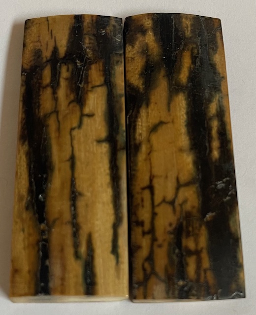  MAMMOTH IVORY SCALES             2-5/8 X 15/16 X 3/16