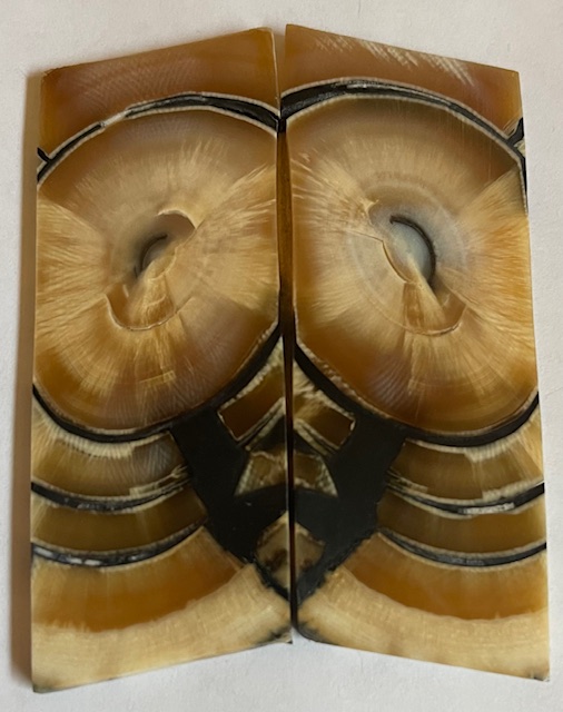 END GRAIN CUT MAMMOTH IVORY                2-15/16 X 1-1/8 X 1/8