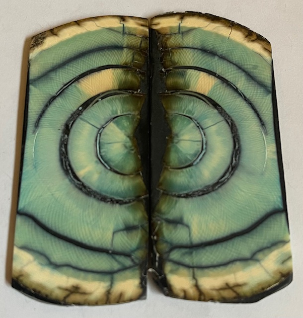 END GRAIN CUT MAMMOTH IVORY                2-1/2 tapers X 1-1/8 X 1/16