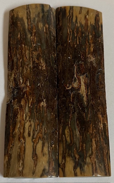  MAMMOTH IVORY SCALES             3-11/16 X 1 X 3/16