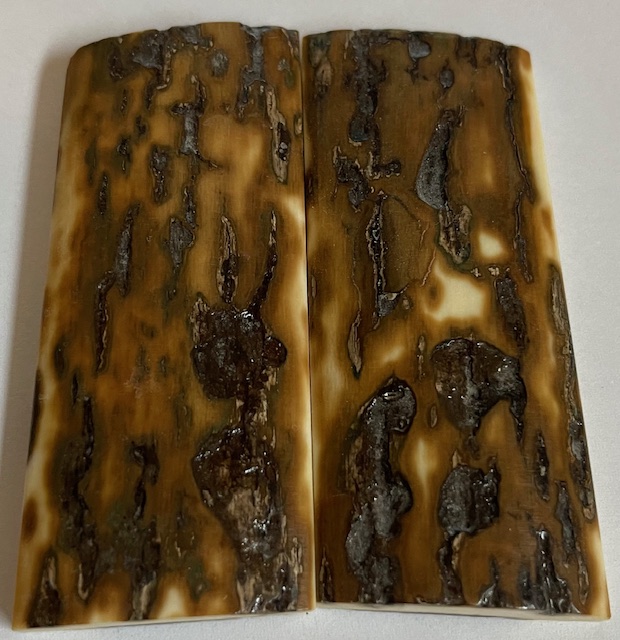  MAMMOTH IVORY SCALES             3 X 1-1/4 X 1/4