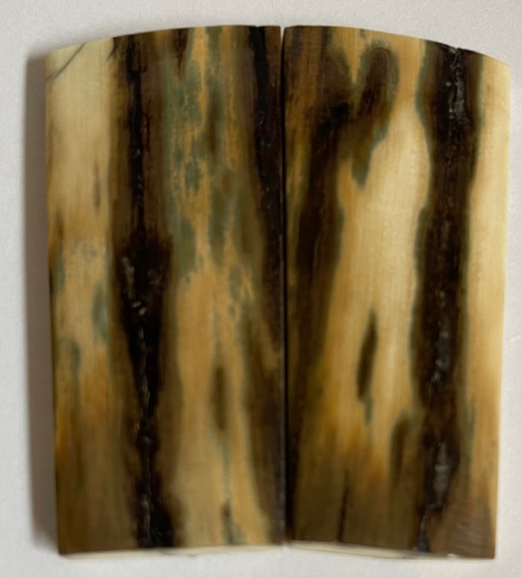  MAMMOTH IVORY SCALES            2-5/16 X 15/16 X 3/16