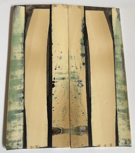 Parallel cut mammoth scales         4-3/16 X 1-5/8 X 1/8