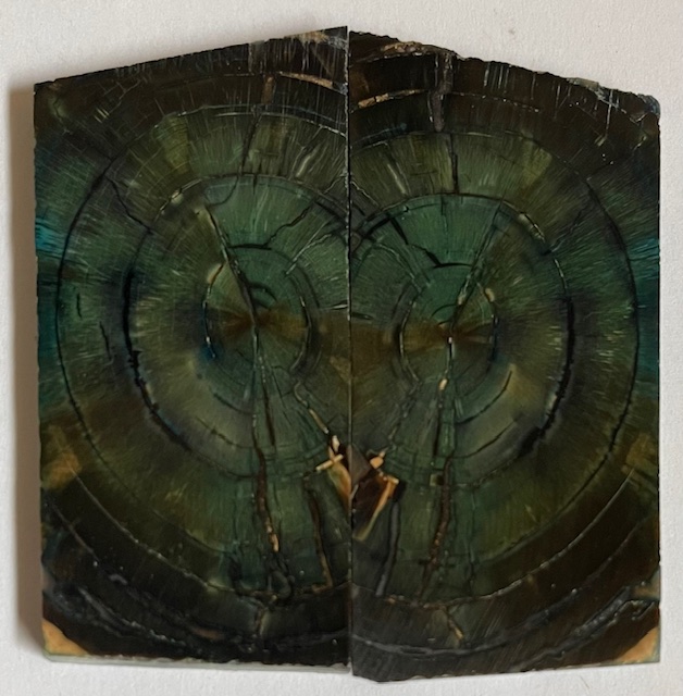 END GRAIN CUT MAMMOTH IVORY     2-3/16 X 1-1/16 X 1/8