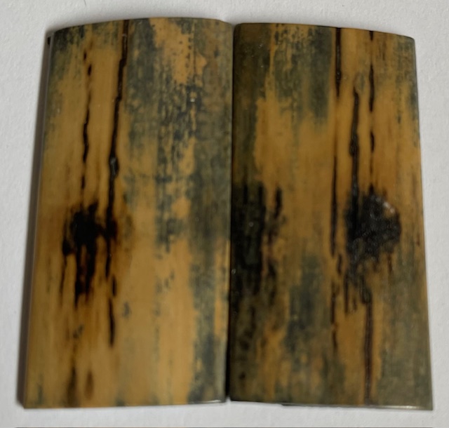  MAMMOTH IVORY SCALES             2 X 1 X 1/18