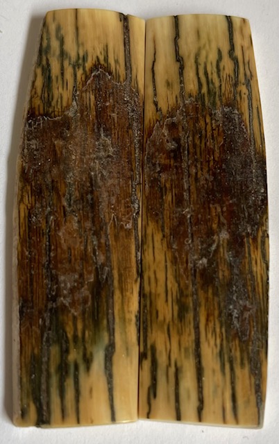  MAMMOTH IVORY SCALES             3-1/16 X 7/8 X 3/16
