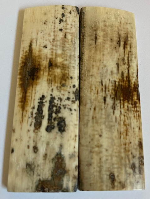  MAMMOTH IVORY SCALES             2-15/16 X 15/16 X 5/32