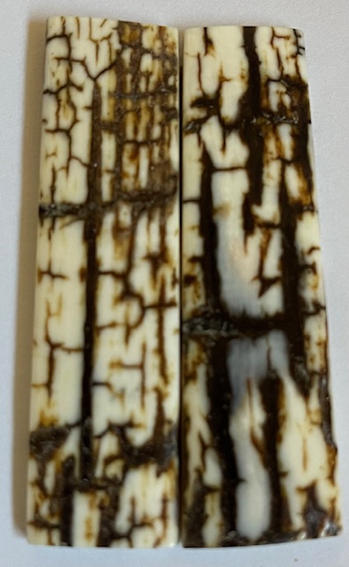  MAMMOTH IVORY SCALES             2-5/8 X 11/16 X 1/8