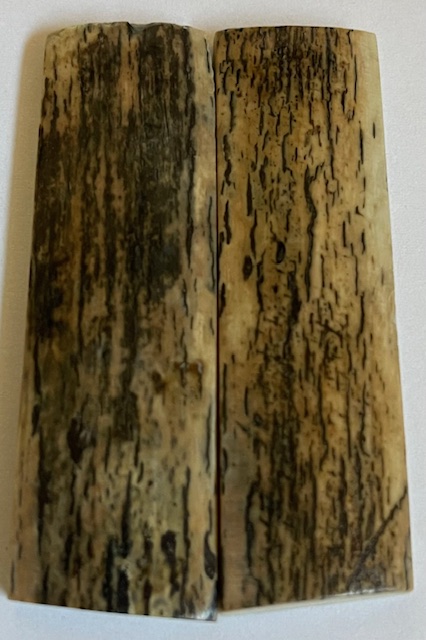  MAMMOTH IVORY SCALES             2-7/16 X 3/4 X 1/8