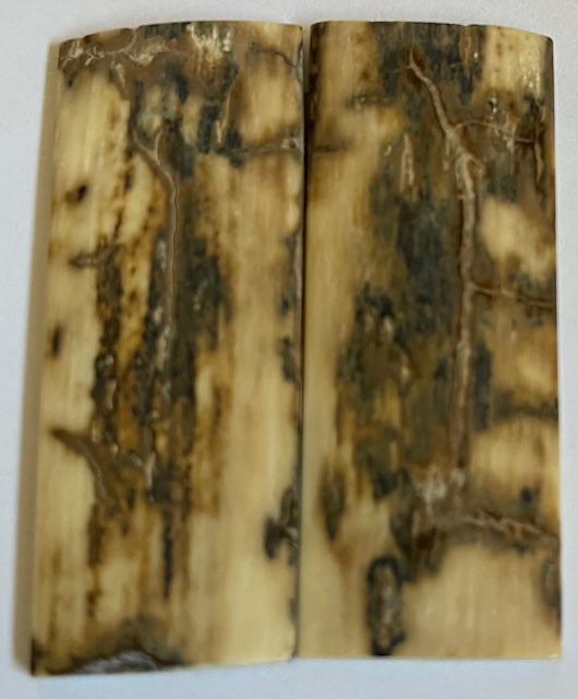  MAMMOTH IVORY SCALES             2-5/16 X 7/8 X 1/8