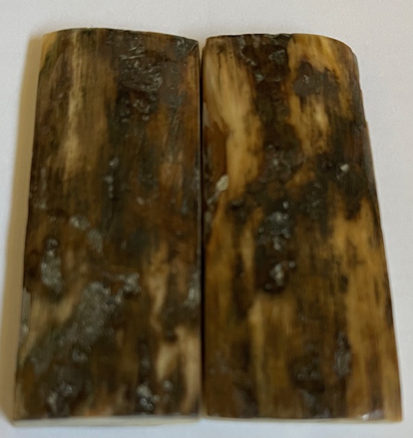  MAMMOTH IVORY SCALES             2-5/16 X 1 X 5/32