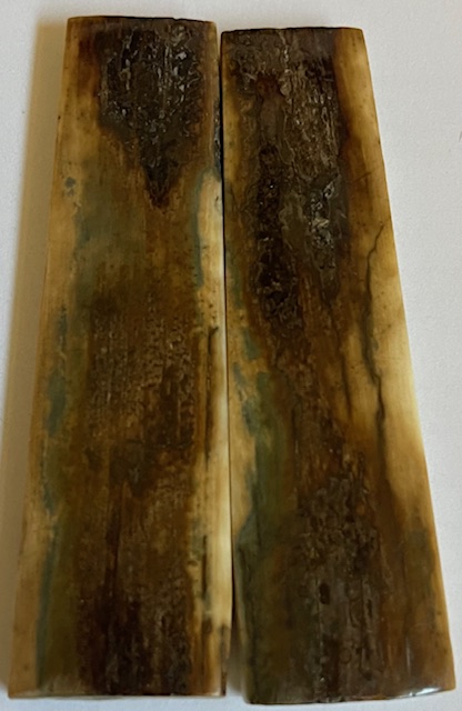  MAMMOTH IVORY SCALES             2-15/16 X 11/16 X 5/32