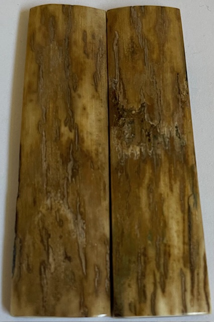  MAMMOTH IVORY SCALES             2-7/8 X 3/4 X 5/32