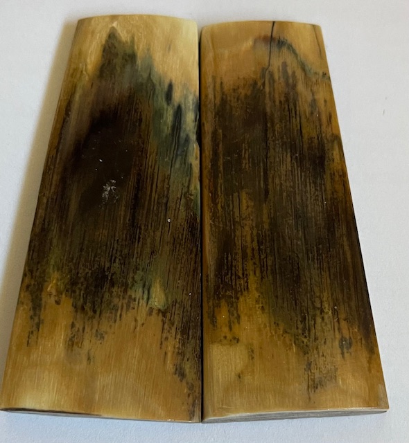  MAMMOTH IVORY SCALES             2-13/16 X 15/16 to 1 X 3/16