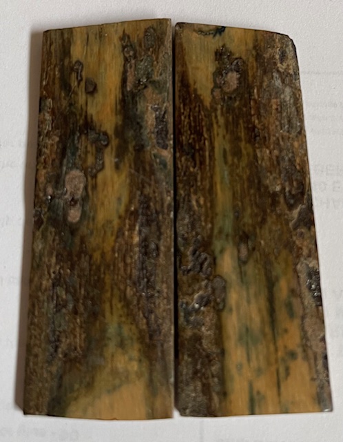  MAMMOTH IVORY SCALES            2-9/16 X 7/8 X 1/8