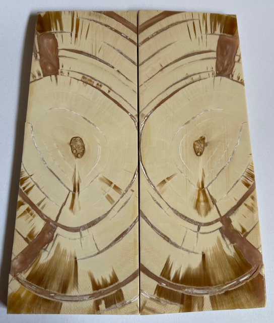 END GRAIN CUT MAMMOTH IVORY             5-3/16 X 1-7/8 X 1/4