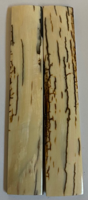  MAMMOTH IVORY SCALES             4-1/2 X 3/4 X 5/32