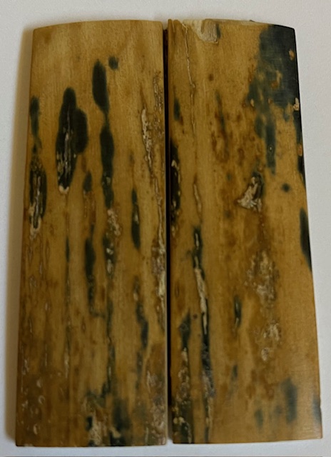  MAMMOTH IVORY SCALES         2-13/16 X 15/16 X 1/8