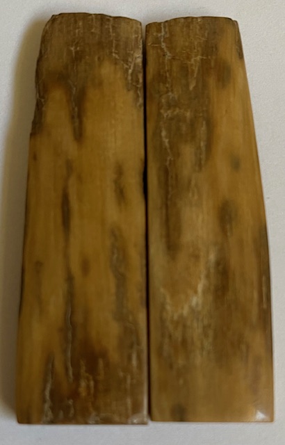  MAMMOTH IVORY SCALES            2-9/16 X 11/16 X 5/32