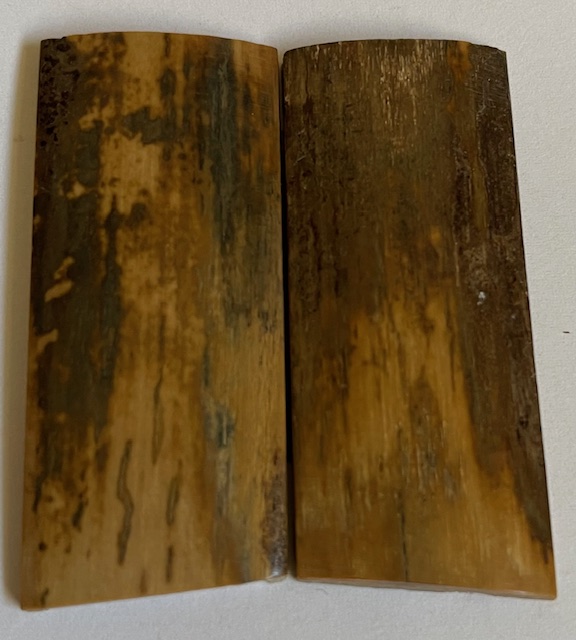  MAMMOTH IVORY SCALES            2-1/4 X 1 X 1/8