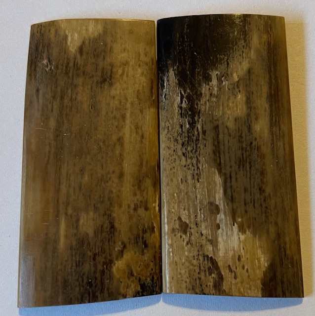  MAMMOTH IVORY SCALES            2-1/4 X 1-1/16 X 1/8