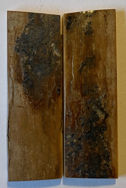  MAMMOTH IVORY SCALES          2-1/8 X 11/16 X 1/8